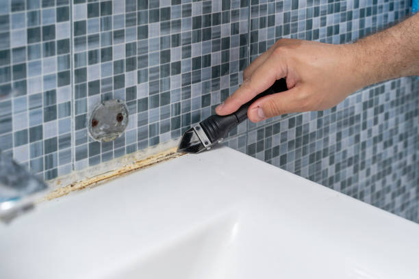 Best Office Mold Removal Services  in Phoenix Lake, CA