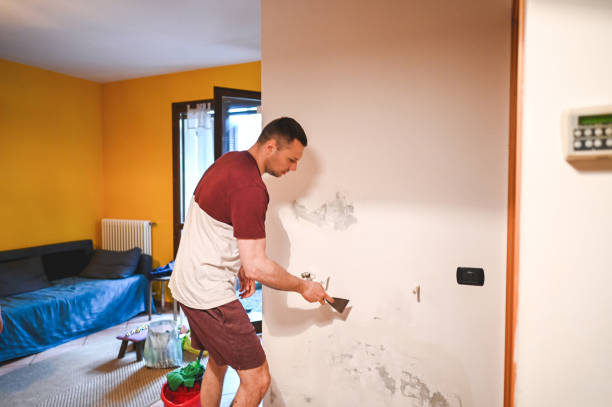 Best Local Mold Removal Service  in Phoenix Lake, CA